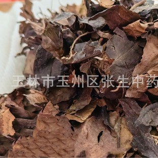 ��ș�Ĳ�ɺ�� �[���L �[���L(�Ź��L)�Ź���ӹ�ɏ