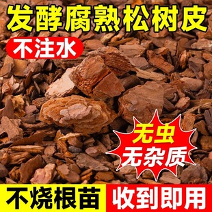 Pine Bark Fermented Decayed Pine Scales Orchid Soil Natural Plant Material Dendrobium Junzi Phalaenopsis Flower Nutrient Soil