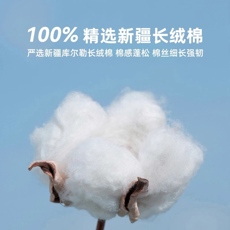 Funda de almohada de lujo ligera al por mayor Funda de almohada Algodón puro 100 piezas de algodón de fibra larga Xinjiang Funda de núcleo de almohada 48x74cm Sentido de alta calidad