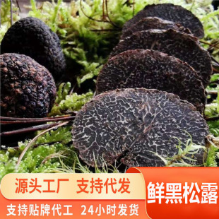 ����خa���r����¶�K��ϴ؛��؛���r����¶�Ҝ�ʳ��Ұ����