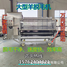 ȫԄëC iȥëÓëC ţÓë׾Óë