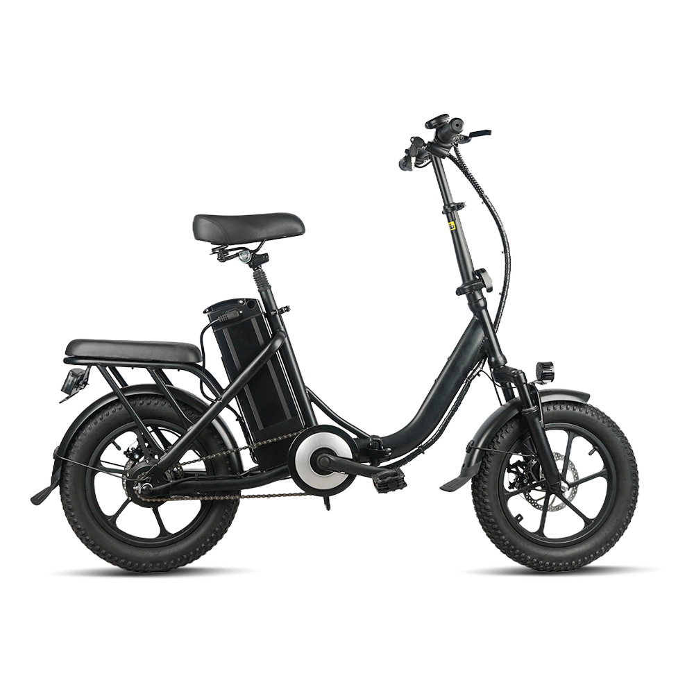 16inch Snow and Beach All-Terrain Electric Bicycle for Two People, Battery-Powered Vehicle, Exclusively for Foreign Trade and Cross-Border Sales