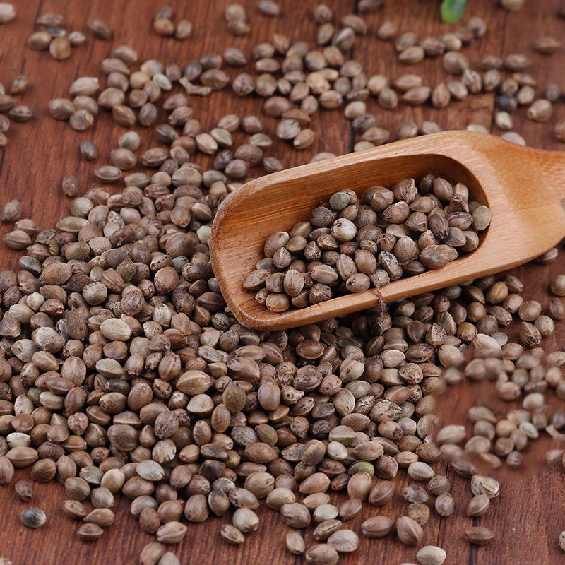 Huo Ma Ren Dried Hemp Seeds 500g Traditional Chinese Herb Huo Ma Zi Edible Seeds quality and texture