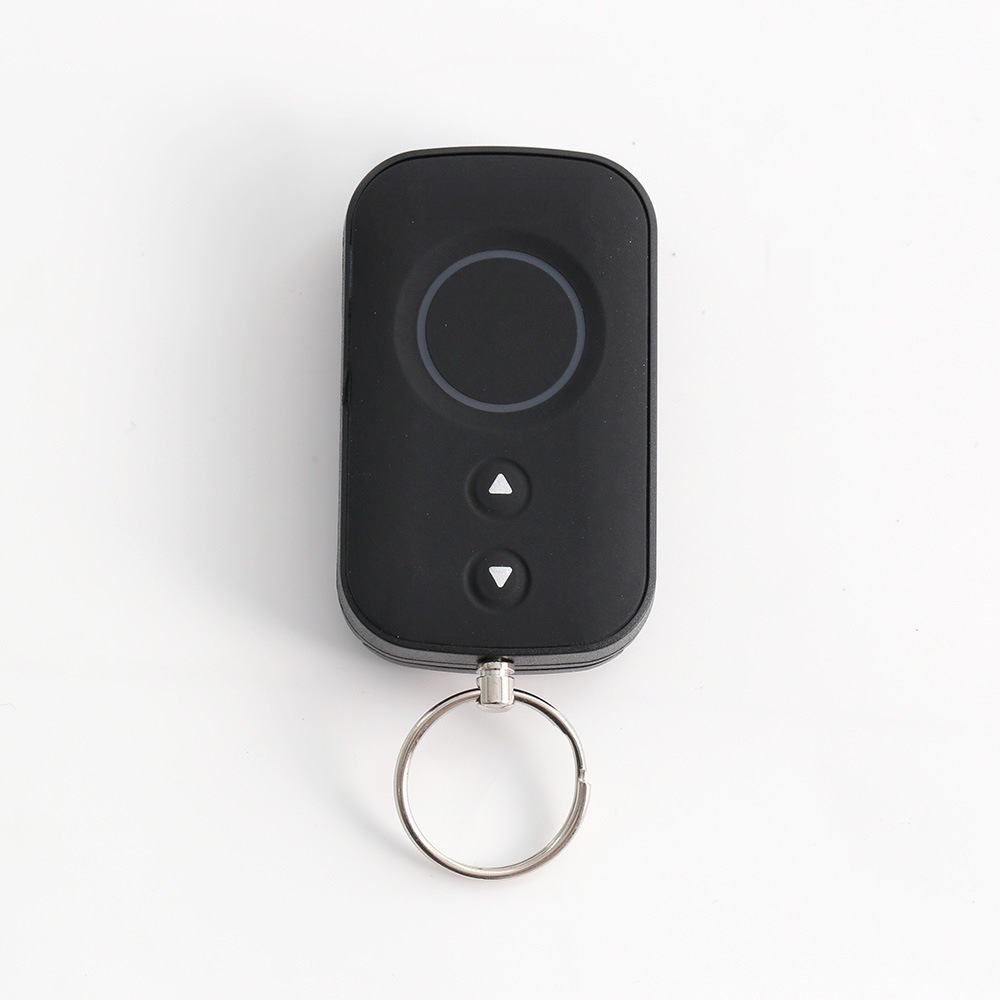 Russia anti-theft alarm system Starline A93 A63 A39 A36 dedicated one-way remote control