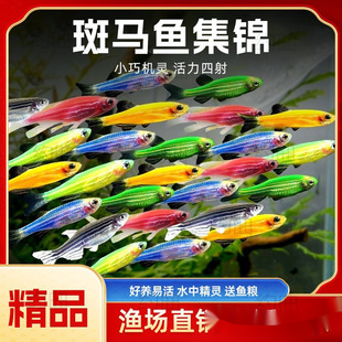 ���R�~�^�p�~���w��ˮ�����~�����Lβ��ˮ�~Ⱥ��ˮ�Ꭷ�~���B�ͻ�