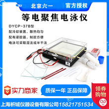 北京六一DYCP-37B型等电聚焦电泳仪
