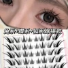 Glue-free 80 clusters [little genius eyelashes] enlarge your eyes