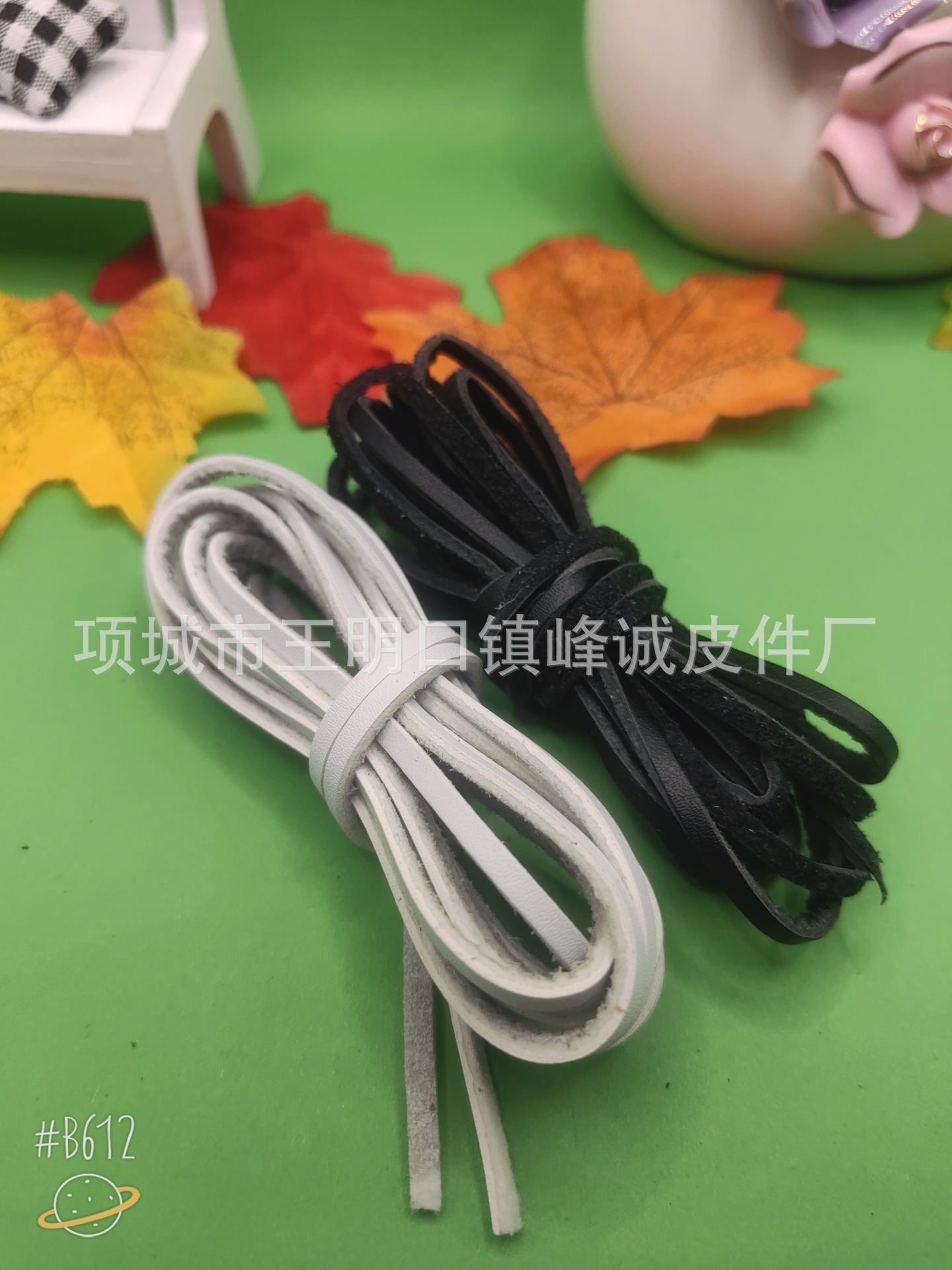 B612Kaji_20240119_203649_215