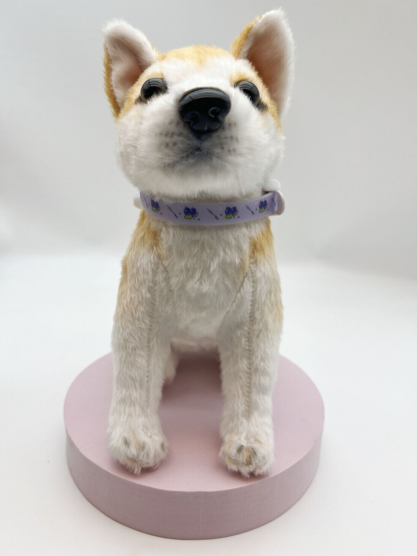 Collar repelente de insectos para perros, anillo repelente de mosquitos para gatos, eliminación de pulgas, prevención de piojos, ácaros, eliminación de pulgas, collar, suministros para mascotas