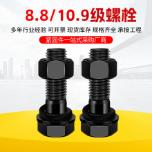 8.810.9ߏ˨ݽzGB5782lM20 24 30