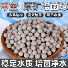 ~^VпʯӢƷˮ{D^Vմɭh