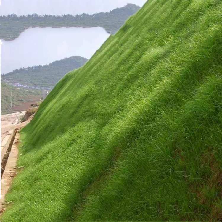 Производитель оптовая продажа семян газона