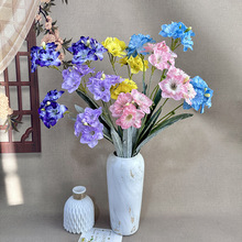 �S�����l����ˮ��ֲ�q֦�ɼٻ��ҾӾƵꙻ���b����͏d�廨��ˇ