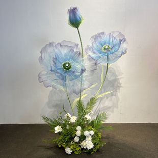 ���滨�����˻�c���߈������ô���̨�쾰�bٻ��������·��