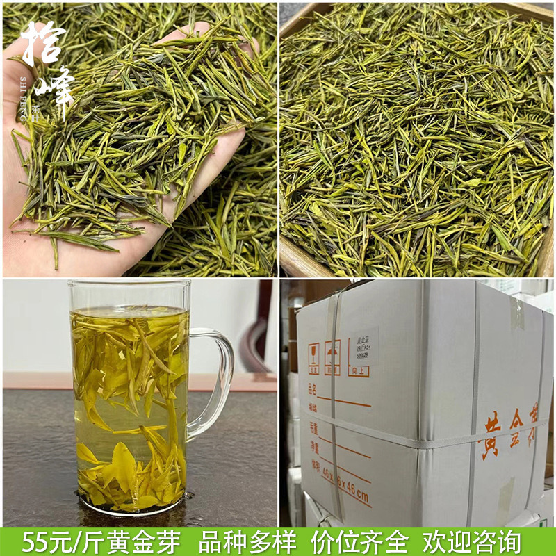 浙江2025年新茶明前茶春茶緑茶安吉工芸濃香型黄金芽茶葉卸売りバラ|undefined