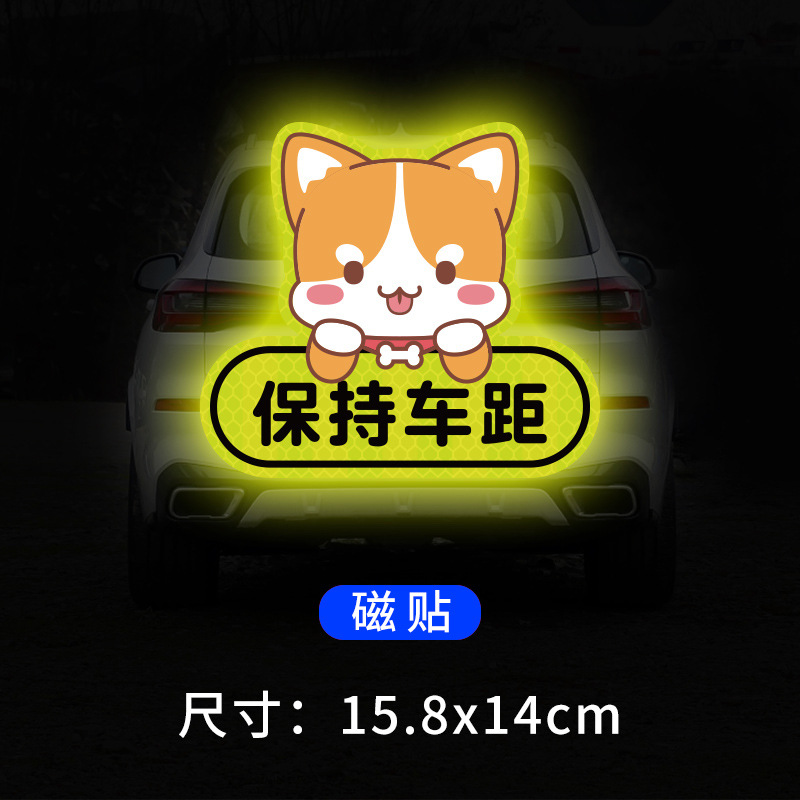 Puppy keeps distance from car magnet