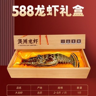 �Ű����r������r���r�Y�л�������r���r�����r���l���۹��նY��