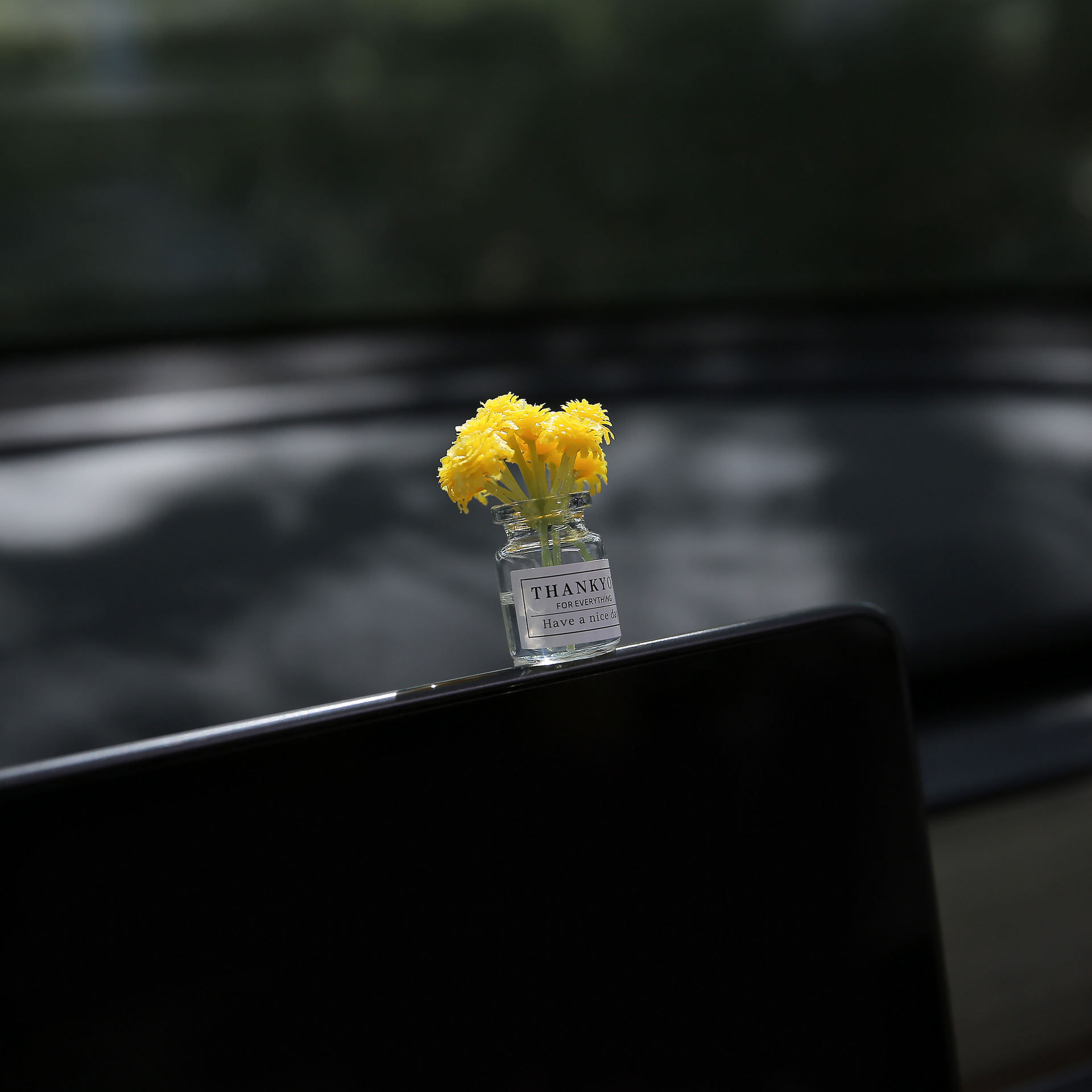 꽃병 장식 [노란 안개꽃]