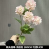 Fantasy hydrangea light pink