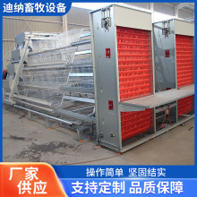 蛋鸡全自动捡蛋机自动捡蛋集蛋捡蛋机鸡笼设备多层叠自动化养鸡舍