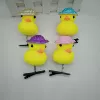 Golden powder hat duck