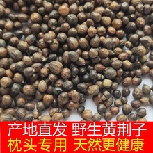 批发黄荆子枕头枕芯填充物布惊籽布荆仁子荆棵籽花草成人
