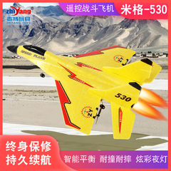 Zhiyang Toy Remote Control Aircraft Fighter MiG 530 Aircraft Model Foam Aircraft Remote Control Glider