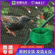 �羳؛Դ����͸���W�̨�����W�����r�ü��ܔr�B�W�๦�ܷ��B�W