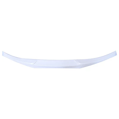and dragon scale design, Motorcycle tail