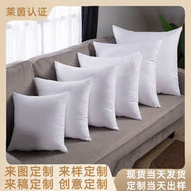 ✅抱枕芯正方形靠枕芯沙发套抱枕内芯定 制白色靠垫芯内胆Temu跨
