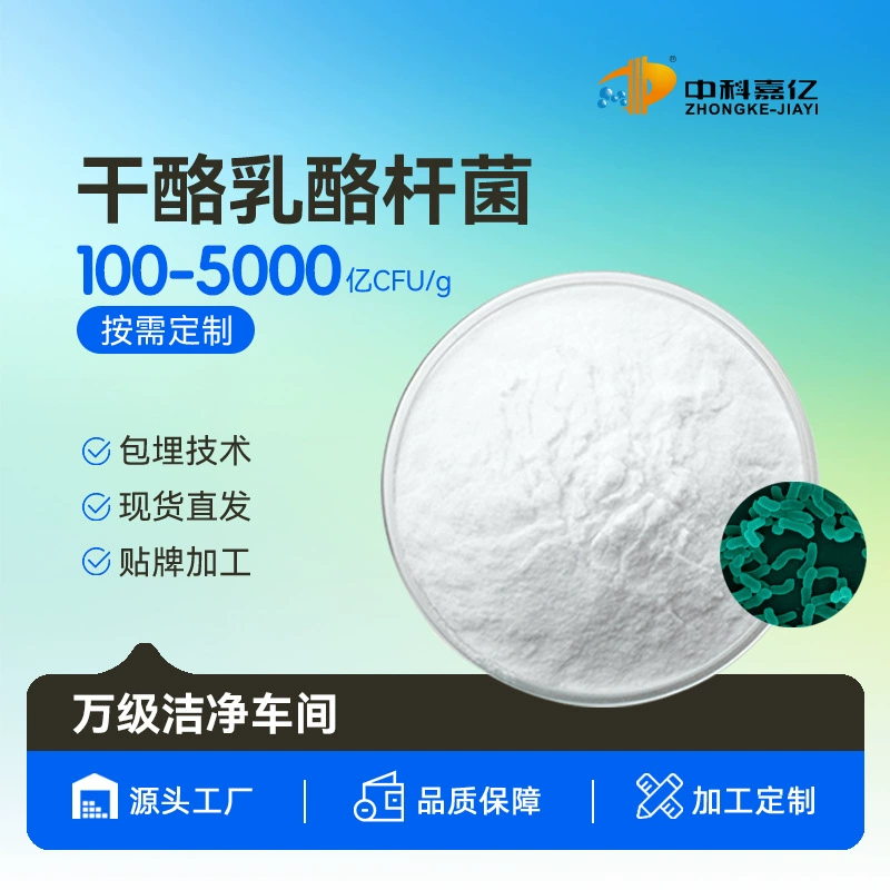 Чизобактерий LC-12 пробиотики 10 миллиардов лиофилизированный молочнокислый порошок Твердый напиток Порошок