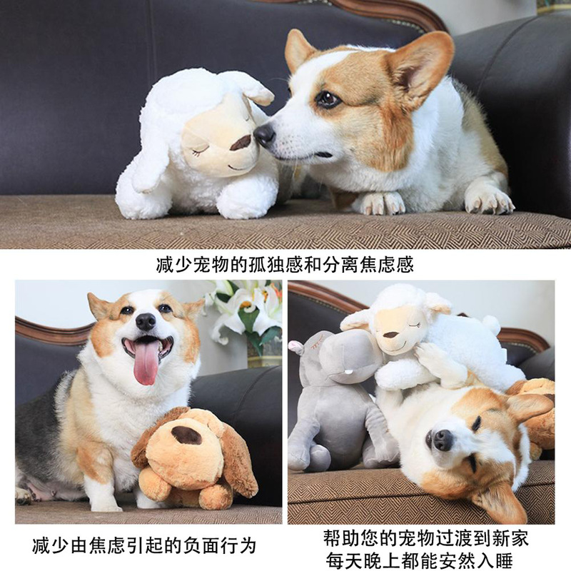 国境を越えて人気のある犬は焦慮して睡眠玩具に付き添う。|undefined
