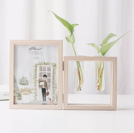Creative Hydroponic Plant Photo Frame Table Home Entrance Entrance Home Living Room TV Cabinet Study Desktop Decorations Ornaments