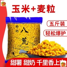 打薯香杂粮麦粒野钓鲫鱼甜薯千里香鲤鱼钓鱼饵料鱼饵谷麦玉米窝料