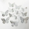 K silver color [12]