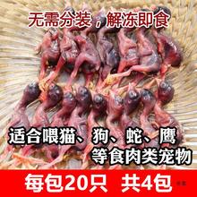 新鲜小鹌鹑肉 乳鹌鹑孵化 鹌鹑幼仔雏现杀速冻肉类宠物生骨肉出壳