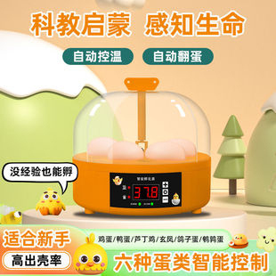 Fusion Incubator Small Household Automatic Intelligent Constant Temperature Children's Rutin Chicken Parrot Egg Hatcher Egg Hatching