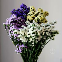 永生勿忘我干花花束批发 满天星勿忘我薰衣草真花摆地摊厂家批发