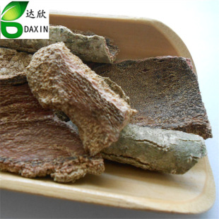 ��ș�����l�ȱؑ�  ��ؑ� ���y��Ƥ����ă�