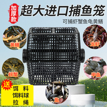 ���~�Ӻ���~�\�S�X�\�����q�\�r�\�Ӻ���ڏ��M�ڲ��~�\�F؛