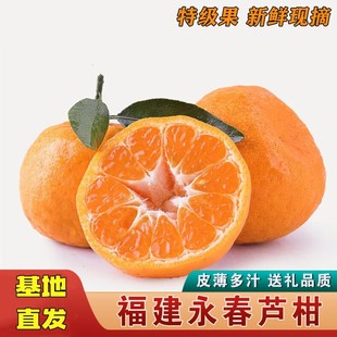 ���������J�̎���5��/9���ˮ���������ٽ��ӗո̮a��ֱ�l