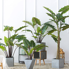 北欧シミュレーション植物虹芋ホームホテル装飾緑植鉢植え人工虹樹ネット赤春芋鉢植え