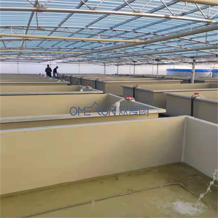 浙江湖州南浔鲈鱼恒温养殖设备 水产南美对虾恒温养殖热泵 厂家