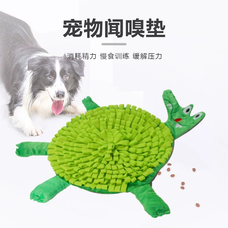 Зеленая черепаха обнюхивает подушку для домашних животных