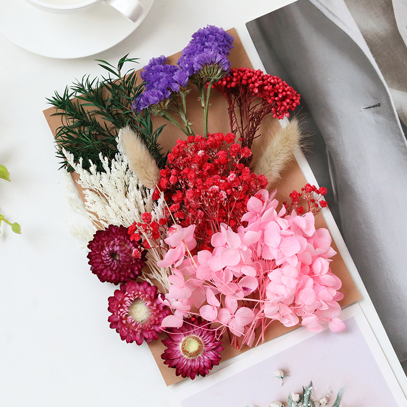 Flor seca flor eterna marco de fotos en relieve paquete de material flotante hecho a mano aromaterapia ventilador redondo actividad salón grupo edificio transfronterizo al por mayor