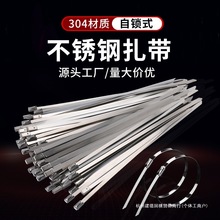 304���P��������i7.9MM늾���ܽ����������⿹����������������