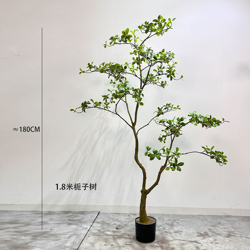 シミュレーション緑植物トップ 10 の功績島春の花クチナシの木植物造園ホーム屋内窓装飾木の装飾品|undefined