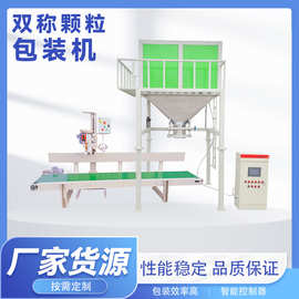 双称定量包装机  自动定量称重 智能操控 性能好多功能颗粒包装秤