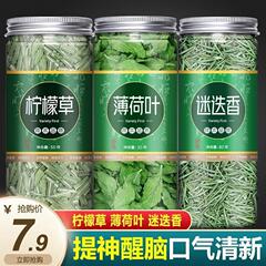 ミントの葉は元気を出して目を覚ます益清口茶は口臭を取り除く特級のさわやかで新鮮な食用のローズマリーのレモンの草を取り除きます。