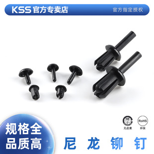 KSS�Pʿʿ�����T����ϰ�������SRϵ�����Ͻ^��������ĸ�T�